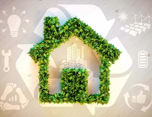 5 More Tips for an Eco-Friendly Home